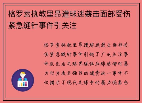 格罗索执教里昂遭球迷袭击面部受伤紧急缝针事件引关注